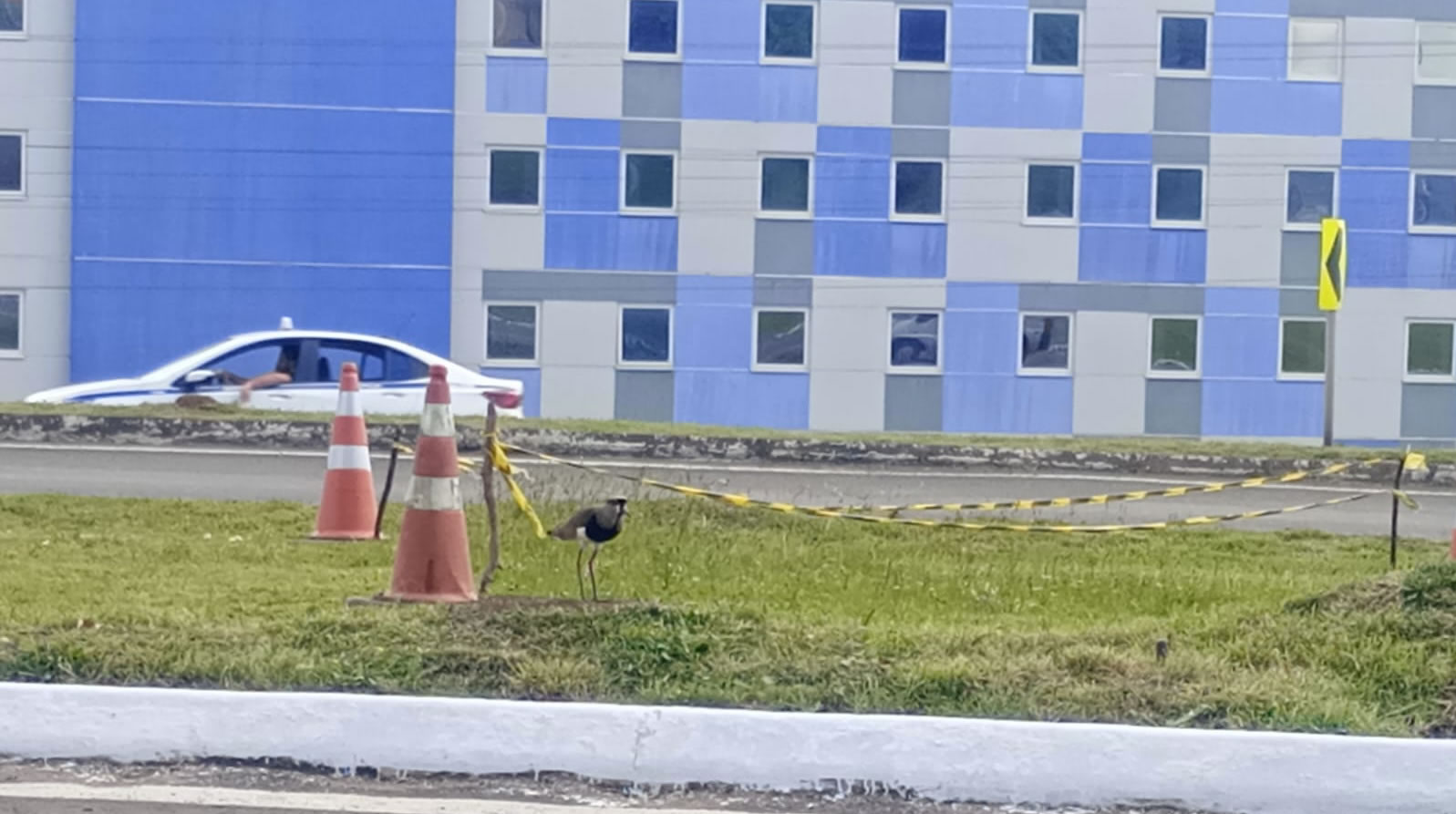 imagem da faixa de domínio